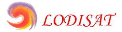 Lodisat logo